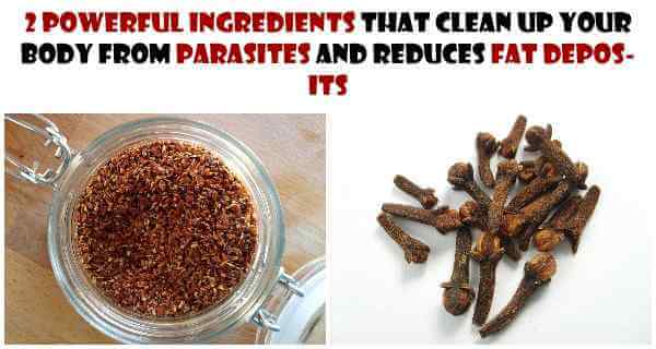2 Powerful Ingredients That Clean Up Your Body From Parasites And Reduces Fat Deposits