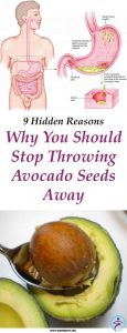 9 Hidden Reasons Why You Should Stop Throwing Avocado Seeds Away