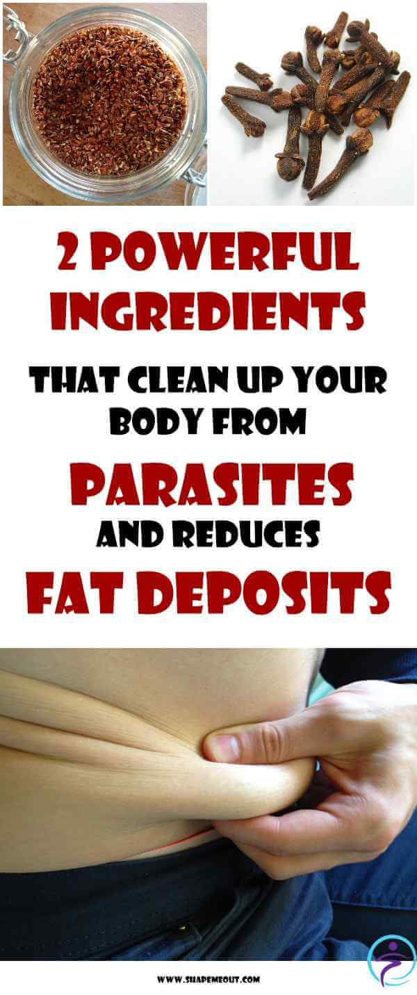 Powerful Ingredients That Clean Up Your Body From Parasites And Reduces Fat Deposits