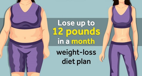 weight loss diet plan