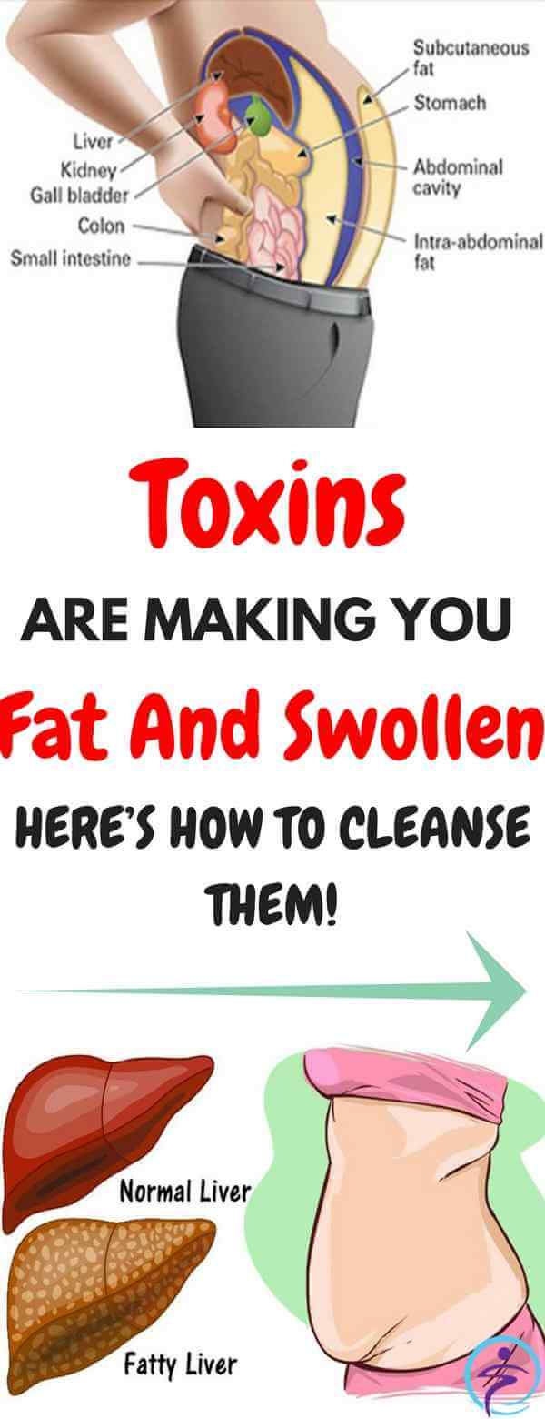 Toxins Stored In Your Fat Cells Are Making You Fat And Swollen. Here’s How To Cleanse Them